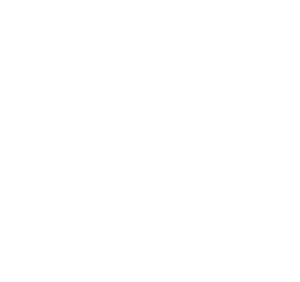 Lonestar Home Lending