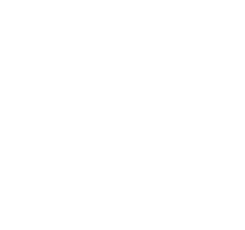 Zyn22